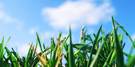 Emissions-Free Lawn Care - Clean Air Lawn Care